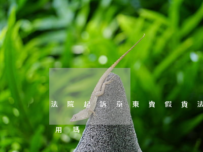 法院起訴京東賣假貨(法院起訴京東賣假貨有用嗎)
