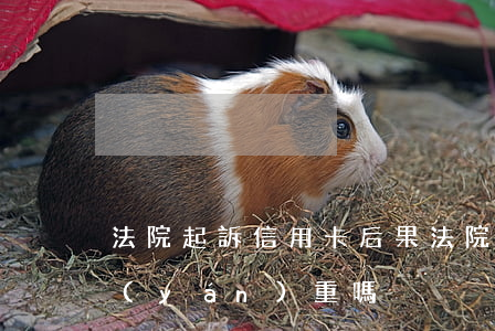 法院起訴信用卡后果(法院起訴信用卡后果嚴(yán)重嗎)