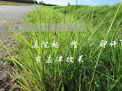 法院起訴借條復印件可以嗎(復印的借條有沒有法律效果)