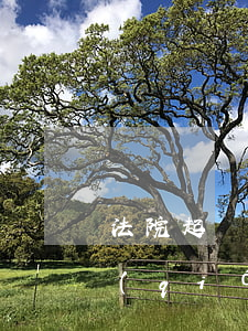 法院起訴借錢(qián)的(法院起訴借錢(qián)的流程)
