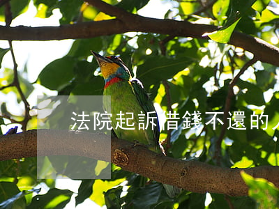 法院起訴借錢不還的人