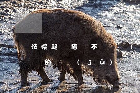 法院起訴借錢不還證據(jù)(借錢不還起訴的證據(jù))