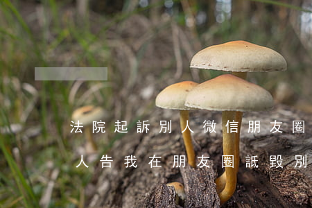 法院起訴別人微信朋友圈誹謗自己(法院說有人告我在朋友圈詆毀別人)