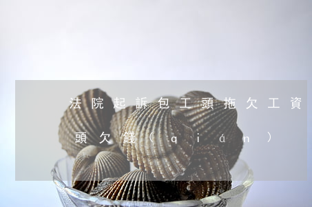 法院起訴包工頭拖欠工資流程（杭州起訴包工頭欠錢(qián)）