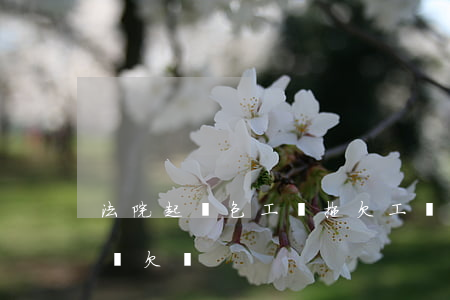 法院起訴包工頭拖欠工資流程（杭州起訴包工頭欠錢）
