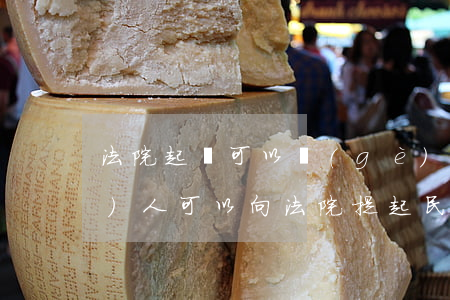 法院起訴可以個(gè)人起訴嗎(個(gè)人可以向法院提起民事訴訟嗎?)