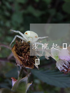 法院起訴可以坐飛機嗎(被起訴還能買飛機票嗎)