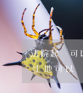 法院起訴可以執(zhí)行土地嗎(被告的土地可以執(zhí)行嗎?)