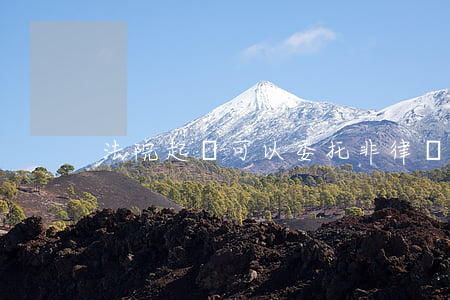法院起訴可以委托非律師嗎