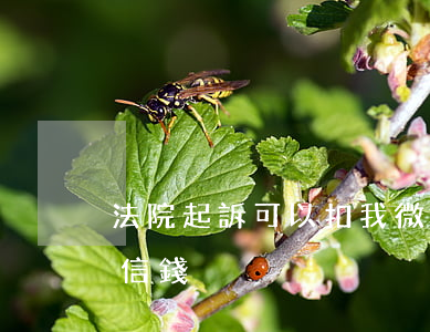 法院起訴可以扣我微信錢嗎(法院能不能扣微信錢)