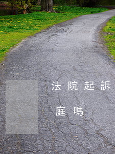 法院起訴可以自己出庭的嗎(民事訴訟需要出庭嗎)