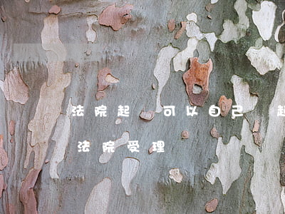 法院起訴可以自己寫起訴狀嗎(自己寫起訴狀法院受理嗎)