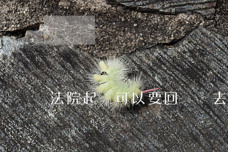 法院起訴可以要回來嗎(去法院可以直接起訴嗎)