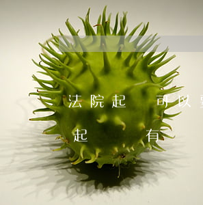 法院起訴可以要求利息嗎(借錢利息不還可以起訴嗎?有訴訟時效嗎?)