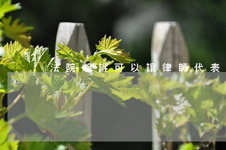 法院起訴可以讓律師代表嗎