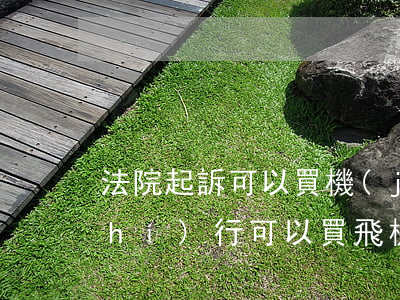 法院起訴可以買機(jī)票嗎(法院執(zhí)行可以買飛機(jī)票嗎)