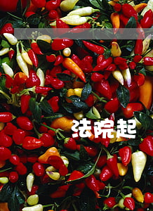 法院起訴合同糾紛一般多久開(kāi)庭