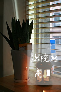 法院起訴后可以坐高鐵嗎(法院為什么限制坐高鐵)