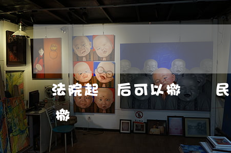 法院起訴后可以撤訴嗎(民事訴訟起訴后可以撤訴嗎)