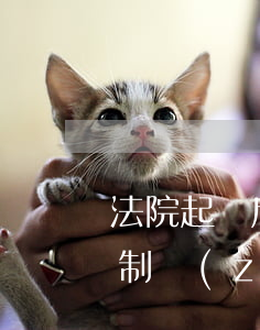法院起訴后還可以坐飛機嗎(被起訴了沒有強制執(zhí)行可以坐飛機嗎)