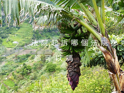 法院起訴哪個法院都可以嗎(在哪個法院起訴都可以嗎)