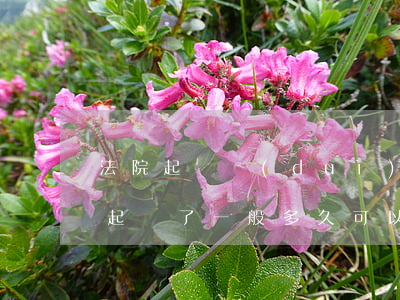 法院起訴對(duì)方多久可以收到傳票(起訴了一般多久可以收到傳票)