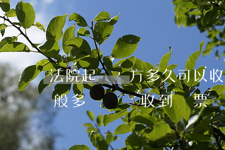 法院起訴對方多久可以收到傳票(起訴對方一般多長時間收到傳票)