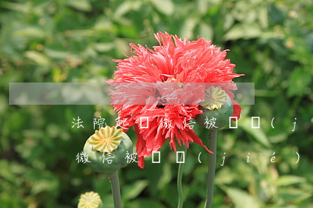 法院起訴微信被凍結(jié)嗎(法院起訴微信被凍結(jié)嗎多久解凍)