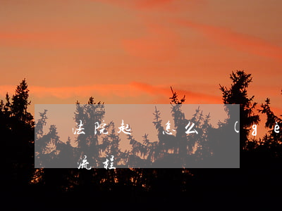 法院起訴怎么個(gè)流程(法院起訴什么流程)