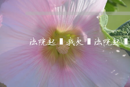 法院起訴我欠錢(法院起訴欠錢不還流程)