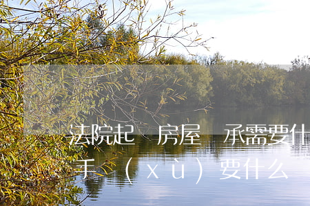 法院起訴房屋繼承需要什么(在法院辦理繼承手續(xù)要什么)