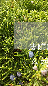 法院起訴找律師多少錢(債務(wù)糾紛怎么起訴找律師需要多少錢)
