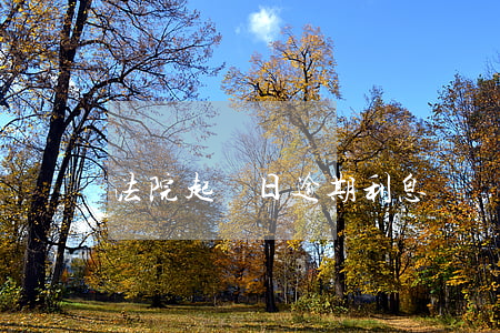 法院起訴日逾期利息嗎