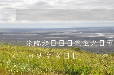法院起訴書傳票坐火車可以嗎(被法院起訴了可以坐火車嗎)