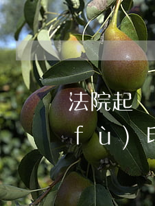 法院起訴書可以復(fù)印嗎(起訴狀復(fù)印件可以立案嗎)