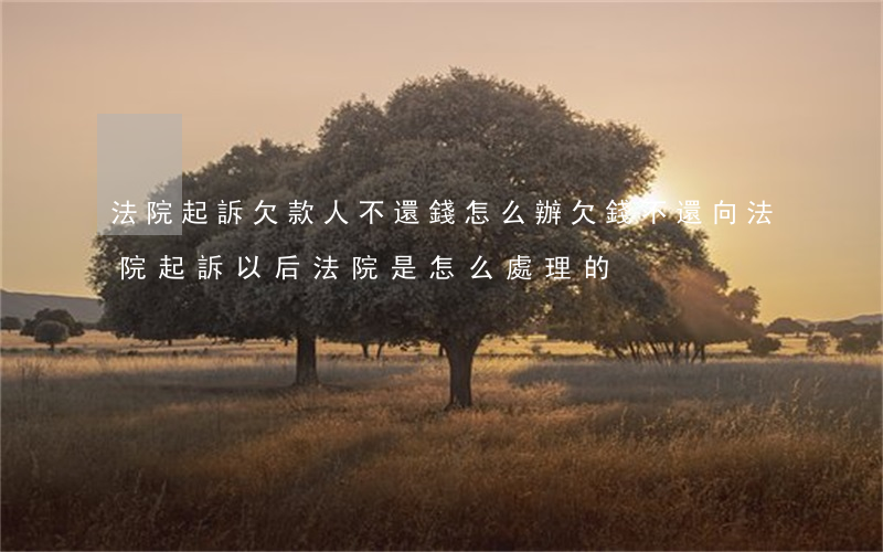 法院起訴欠款人不還錢怎么辦(欠錢不還向法院起訴以后法院是怎么處理的)