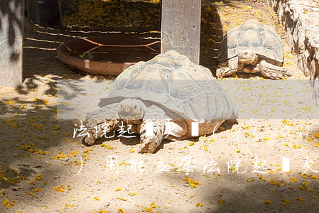 法院起訴欠錢(qián)多少費(fèi)用能立案（法院起訴欠錢(qián)多少費(fèi)用）