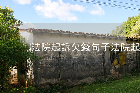 法院起訴欠錢句子(法院起訴欠款怎么寫)