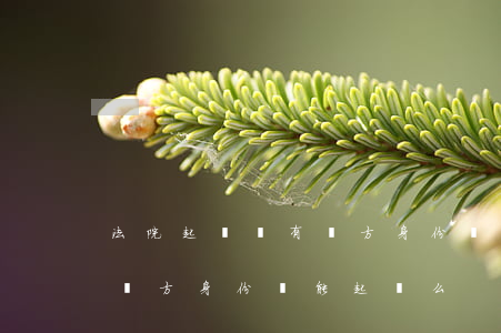 法院起訴沒有對方身份證可以嗎(法院起訴沒對方身份證能起訴么)