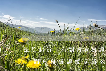 法院起訴沒有對方身份證怎么起訴(法院起訴沒對方身份證能起訴么)