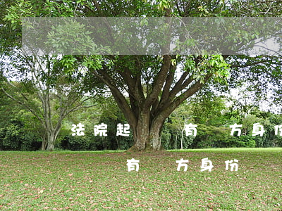 法院起訴沒有對方身份證號可以嗎(到法院起訴沒有對方身份證號怎么辦)