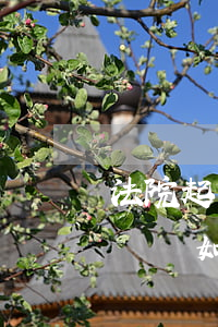 法院起訴沒身份證號(hào)可以嗎(民事訴訟如果沒有被告身份證號(hào)怎么辦)