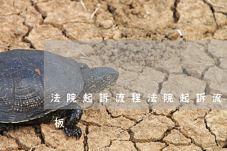 法院起訴流程(法院起訴流程欠錢不還訴訟模板)