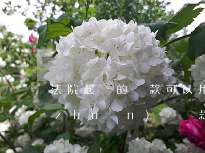 法院起訴的還款可以用微信支付嗎(微信轉(zhuǎn)賬還款有法律效力嗎)