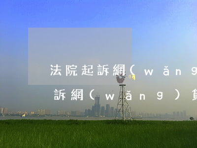 法院起訴網(wǎng)貸有用嗎（向法院起訴網(wǎng)貸）