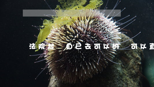 法院起訴自己去可以的嗎(可以直接去法院起訴嗎)