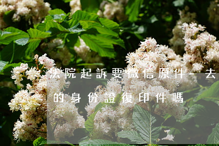 法院起訴要微信原件-去法院起訴需要對方的身份證復印件嗎