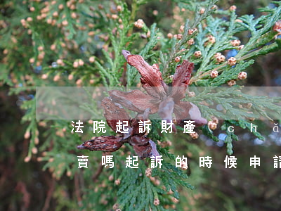 法院起訴財產(chǎn)保全的房屋可以賣嗎(起訴的時候申請財產(chǎn)保全房屋可不可以賣)