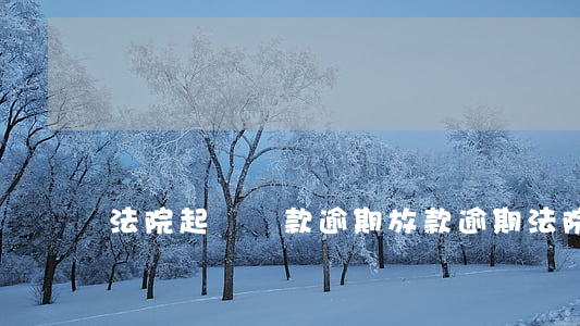 法院起訴貸款逾期（放款逾期法院起訴）