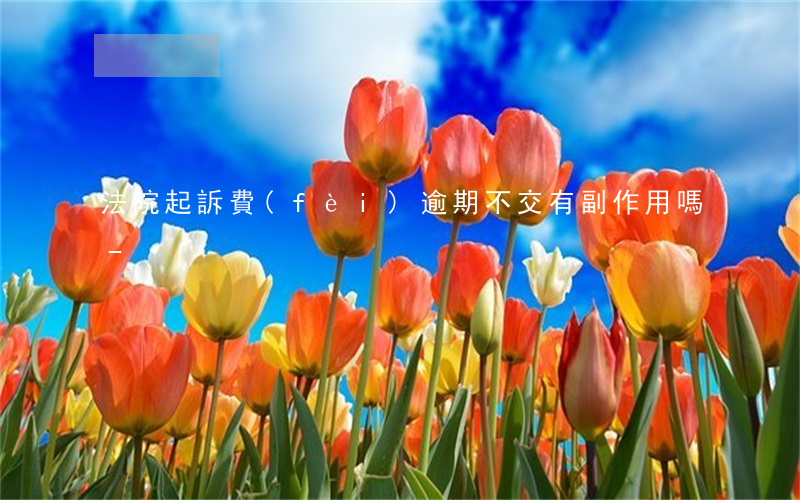法院起訴費(fèi)逾期不交有副作用嗎-